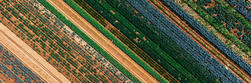 Ein Feld aus der Vogelperspektive