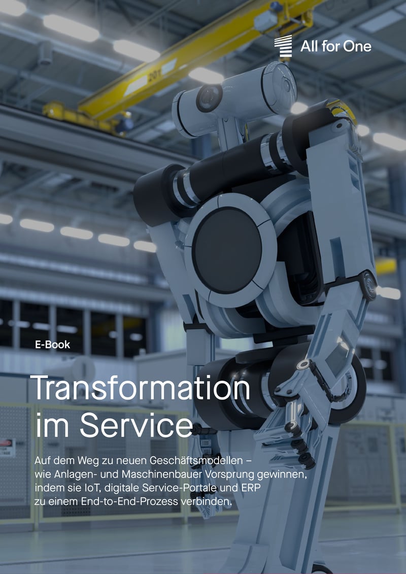 Transformation im Service cover