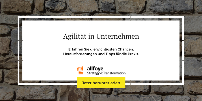 Mehr Informationen und Downloads zum Thema „Agilität in Unternehmen“