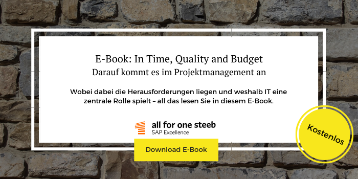 Zum Download des kostenlosen E-Books "In Time, Quality and Budget"