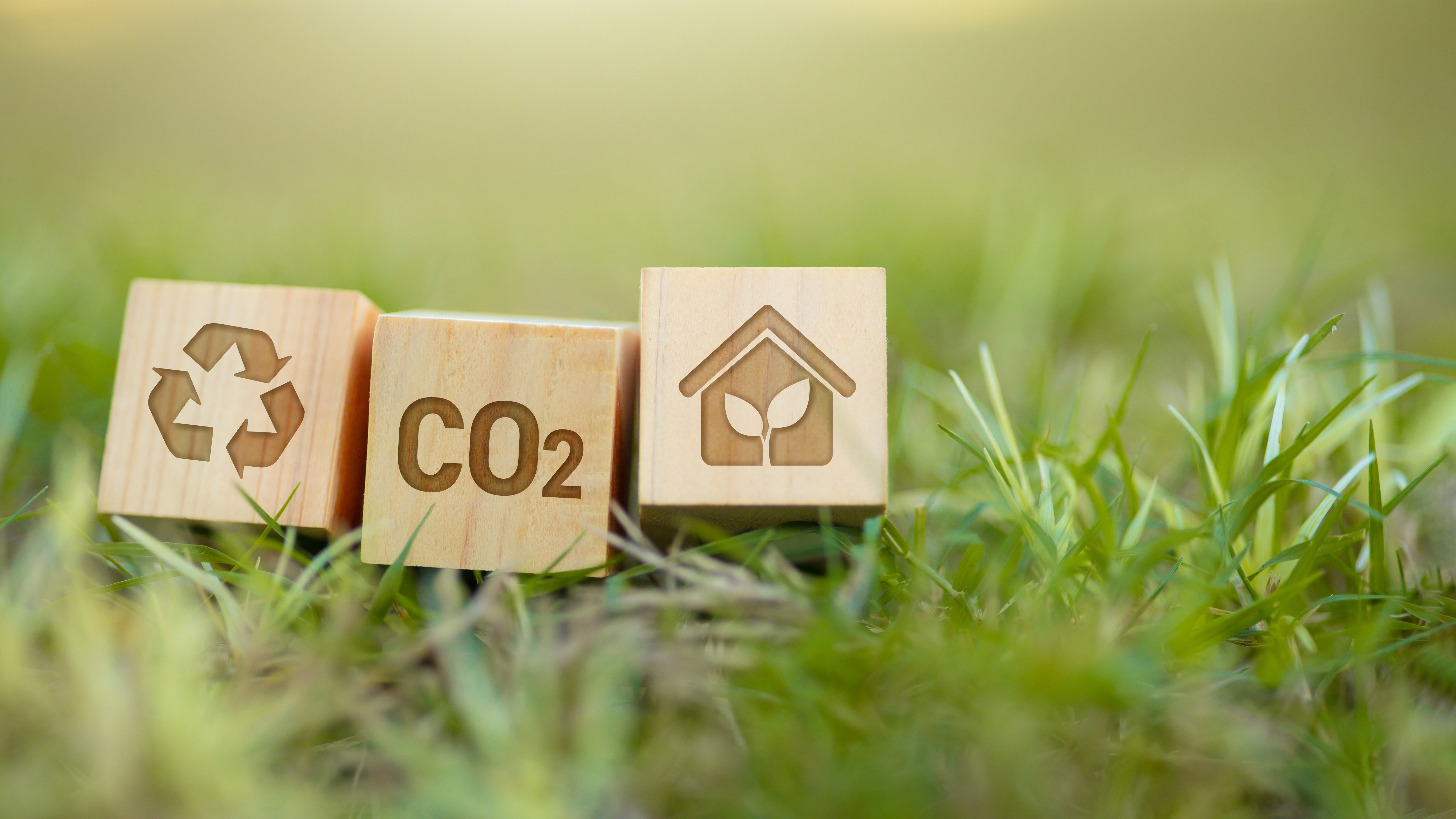 Szenisches Foto von Wirtschaft und Nachhaltigkeit: Unternehmensbeispiele aus der Nachhaltigkeit, Shutterstock