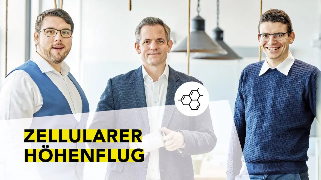 Portrait von Thomas, Patrick und Konstantin.